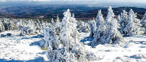 Un paysage enneigé, avec des arbres couverts de neige et une vue lointaine sur des montagnes.