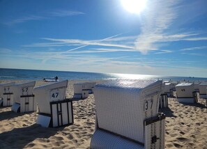 A beach with rows of numbered beach chairs and umbrellas, facing the ocean. - Appartementhaus in Trassenheide (Trassenheide)