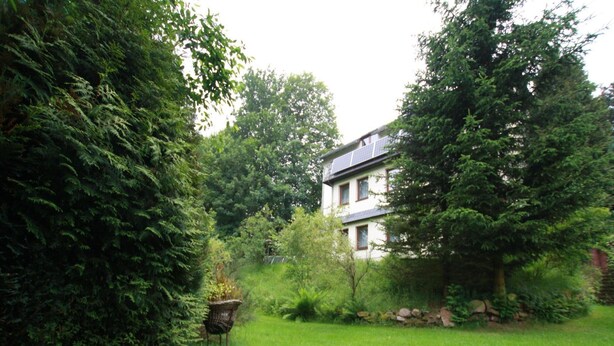 Une maison entourée d’une végétation luxuriante, avec une pelouse bien entretenue et un petit étang.