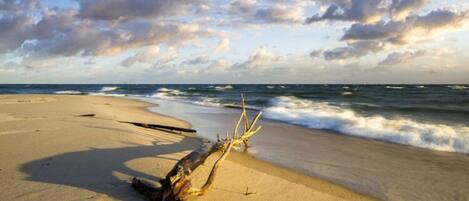 Maison | Vue depuis l’hébergement