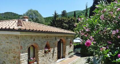 Rustic House in Tuscany With Shared Pool