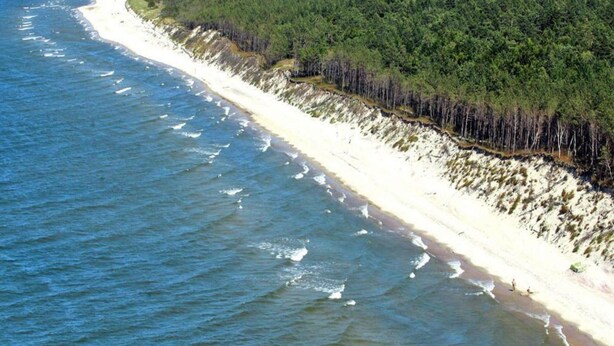 Une plage côtière avec un rivage sablonneux et une forêt dense de l’autre côté.