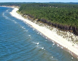 A coastal beach with a sandy shoreline and dense forest on the opposite side. - Bungalow Close to the Beach, Sianozety (Ustronie Morskie)
