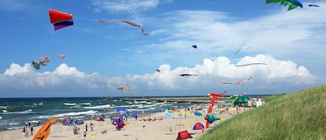 Ferienhaus | Blick von der Unterkunft