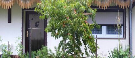 Bungalow | Außenbereich