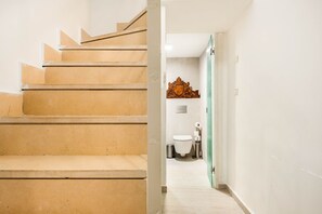 Ducha, secador de pelo, toallas