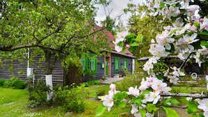 Ein rustikales Holzhaus mit grünen Fensterläden, umgeben von üppiger Vegetation und blühenden Blumen.