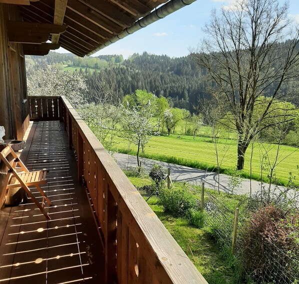 Balcony - Ferienwohnung in Viechtach (Viechtach)