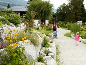 Stroll through the beautifully maintained garden, surrounded by a variety of flowering plants and shrubs.