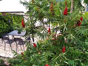 Dining - Stone House in Dobrec With Sea Views for 4 Guests (Opatija)