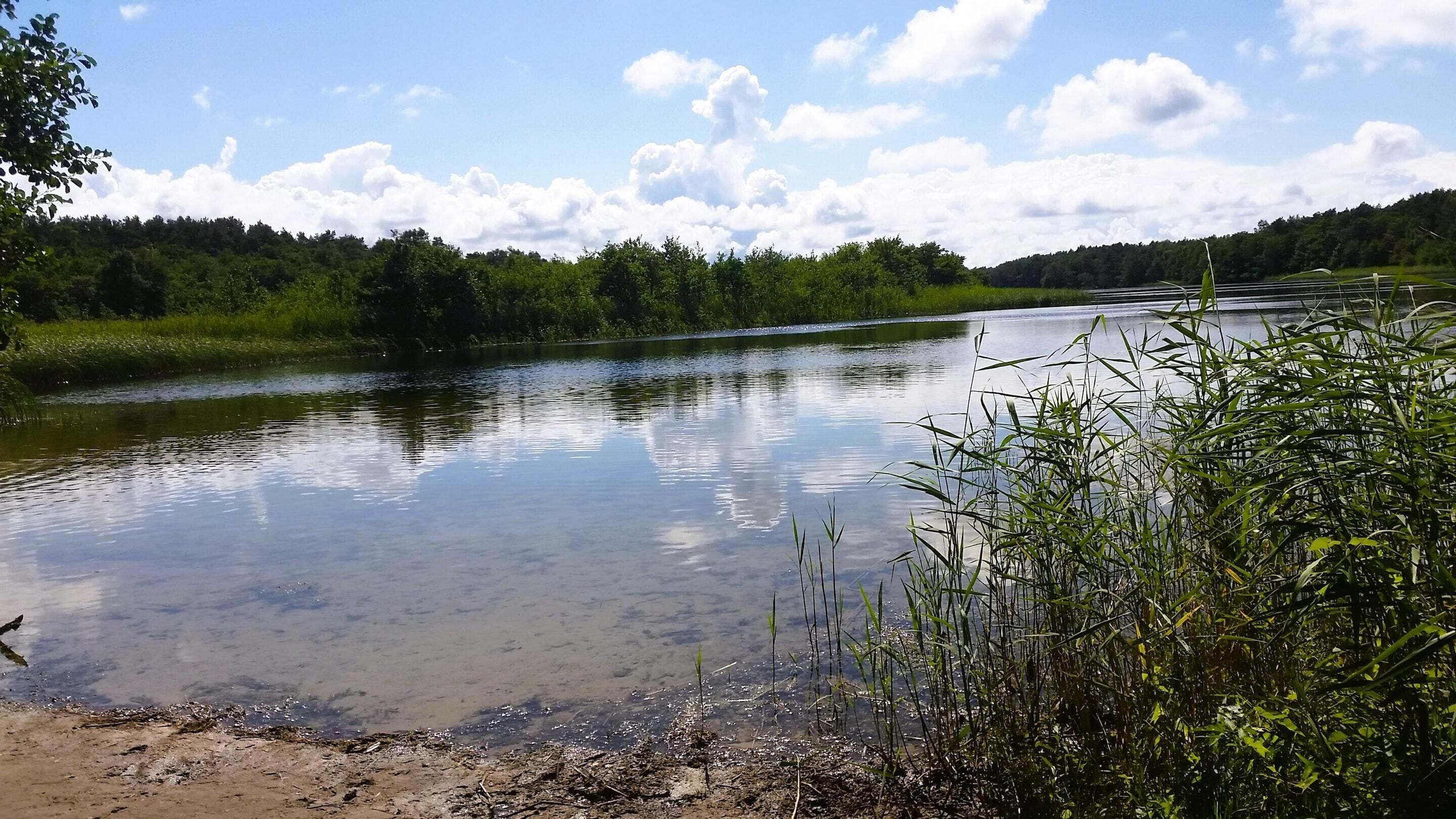 A river with clear water reflecting the sky and surrounding greenery.