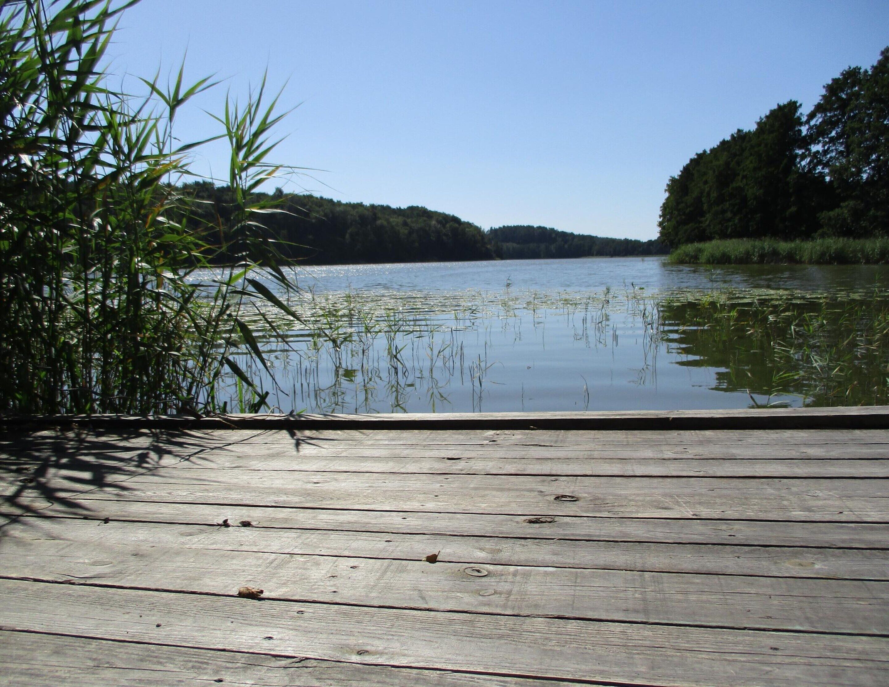 Un molo in legno che si protende su un lago calmo, con una vegetazione rigogliosa sulle sponde.