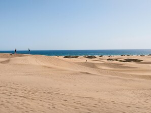 Vista desde la propiedad