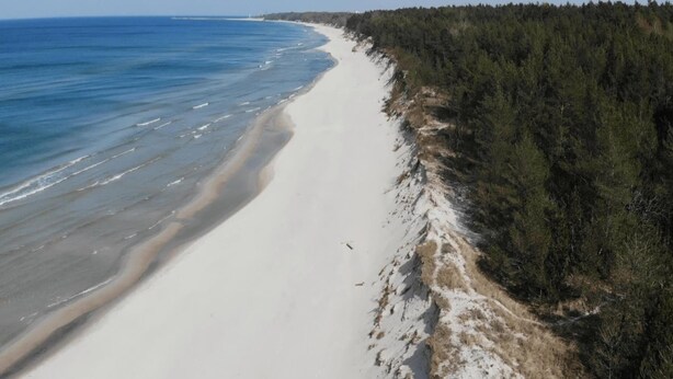 A beach with a sandy shore and a forested area. - Holiday Home Grzybowo Near Beach & Bike Path (Kolobrzeg)