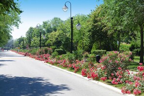 Eine von Bäumen gesäumte Straße mit Laternen und Blumenbeeten.