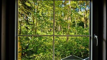 House | View from property