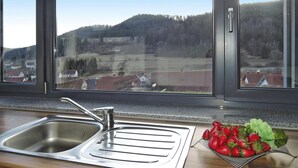 A kitchen with a stainless steel sink and a bowl of fruit on the counter. - Modern Flat in Messstetten Town (Messstetten)