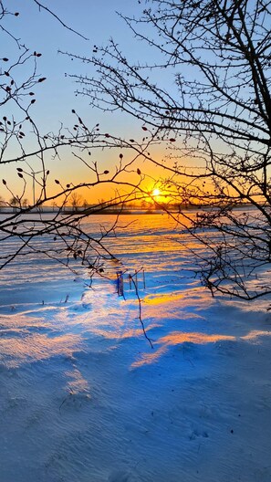 House | View from property