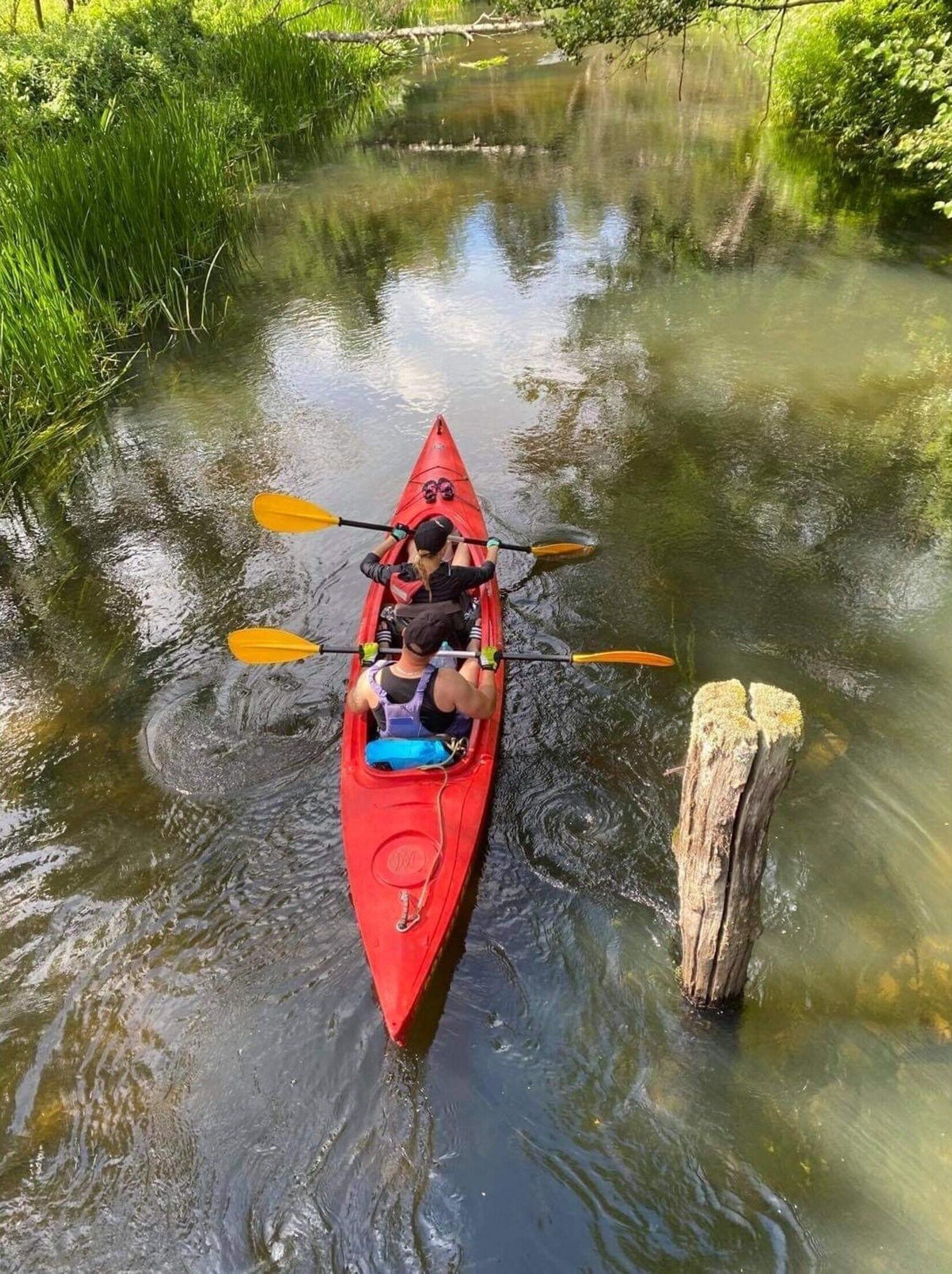 A person kayaking in a red kayak on a calm river surrounded by greenery.