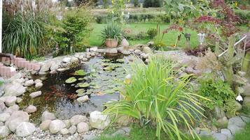 House | View from property