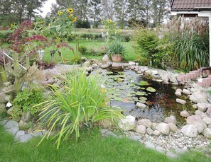 House | View from property