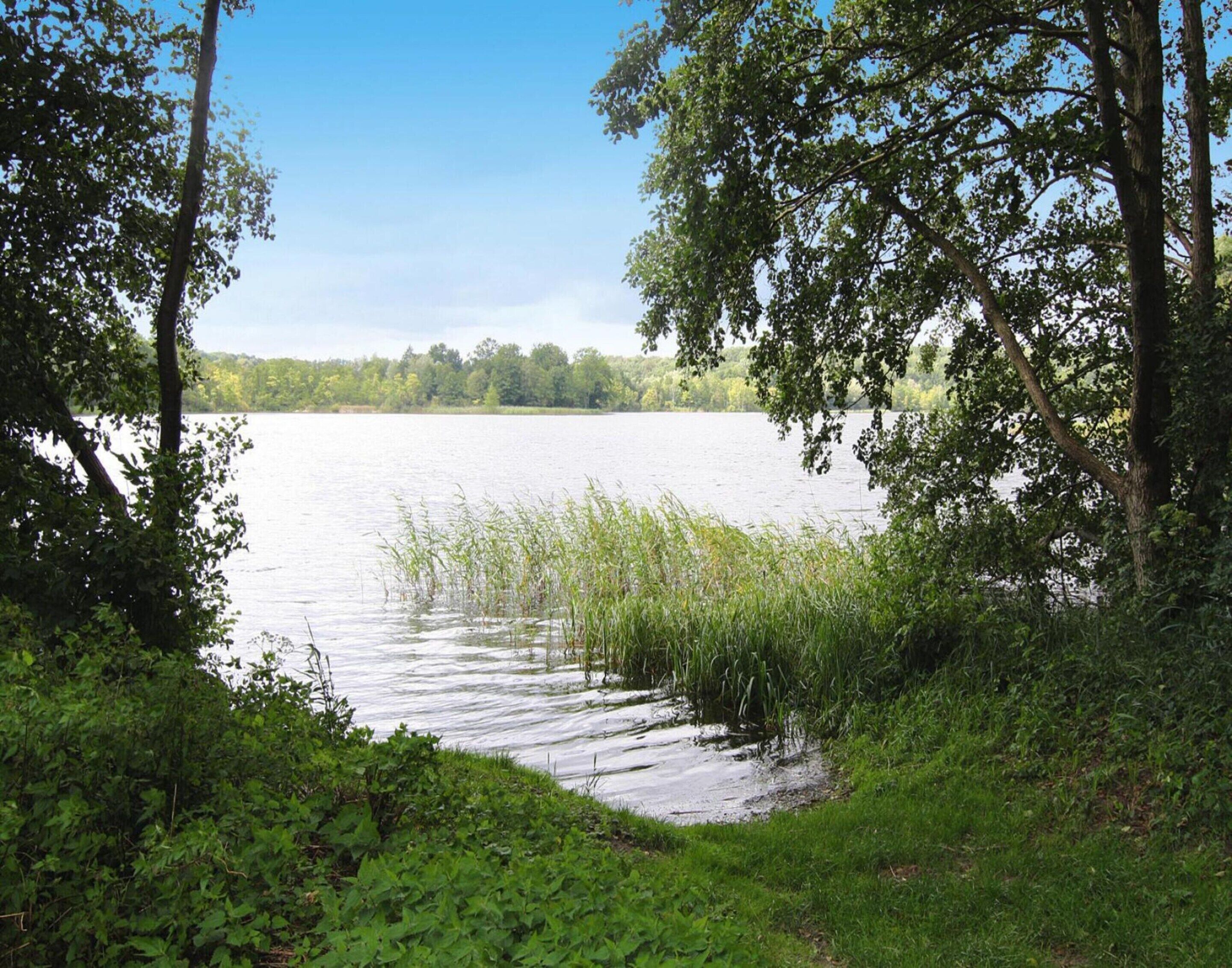 A calm lake surrounded by dense greenery and trees.