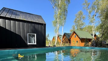 House | Pool | Outdoor pool