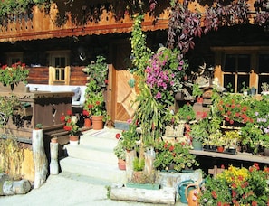 Esterni