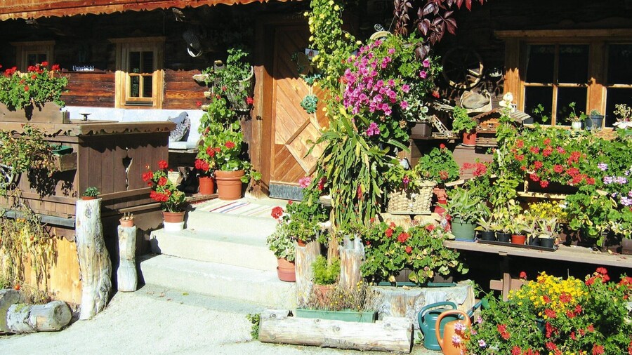 Apartment in Wildschonau by Schatzberg Lift