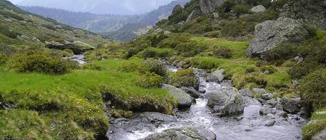 Apartment | View from property