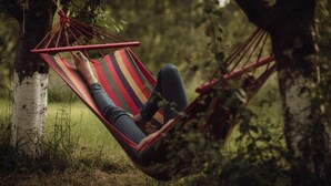 A hammock tied between trees in a forested area. - Holiday Studio Near the Beach, Sarbinowo (Mielno)