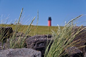 A rocky landscape with grass and a distant red and black structure. - Ferienwohnung im Reetdachhaus auf der Pellworm (Pellworm)