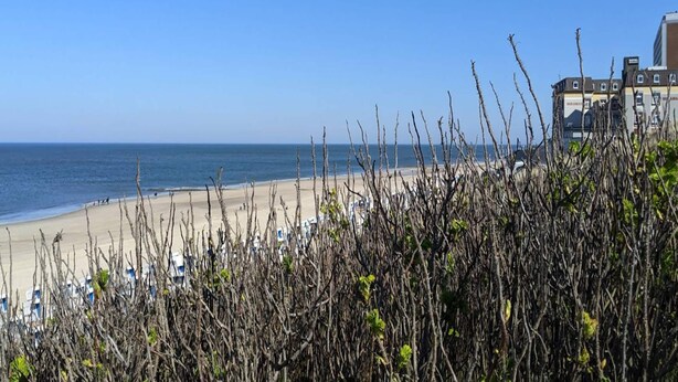 A beach with a clear sky, a sandy shore, and buildings in the background. - Ferienwohnung, Zemitz (Zemitz)