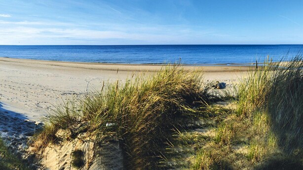 En strand med klare himmel og rolige vand.