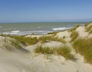 A beach with sand dunes and grass. - Ferienwohnungen, Wyk auf Fohr (Wyk auf Foehr)