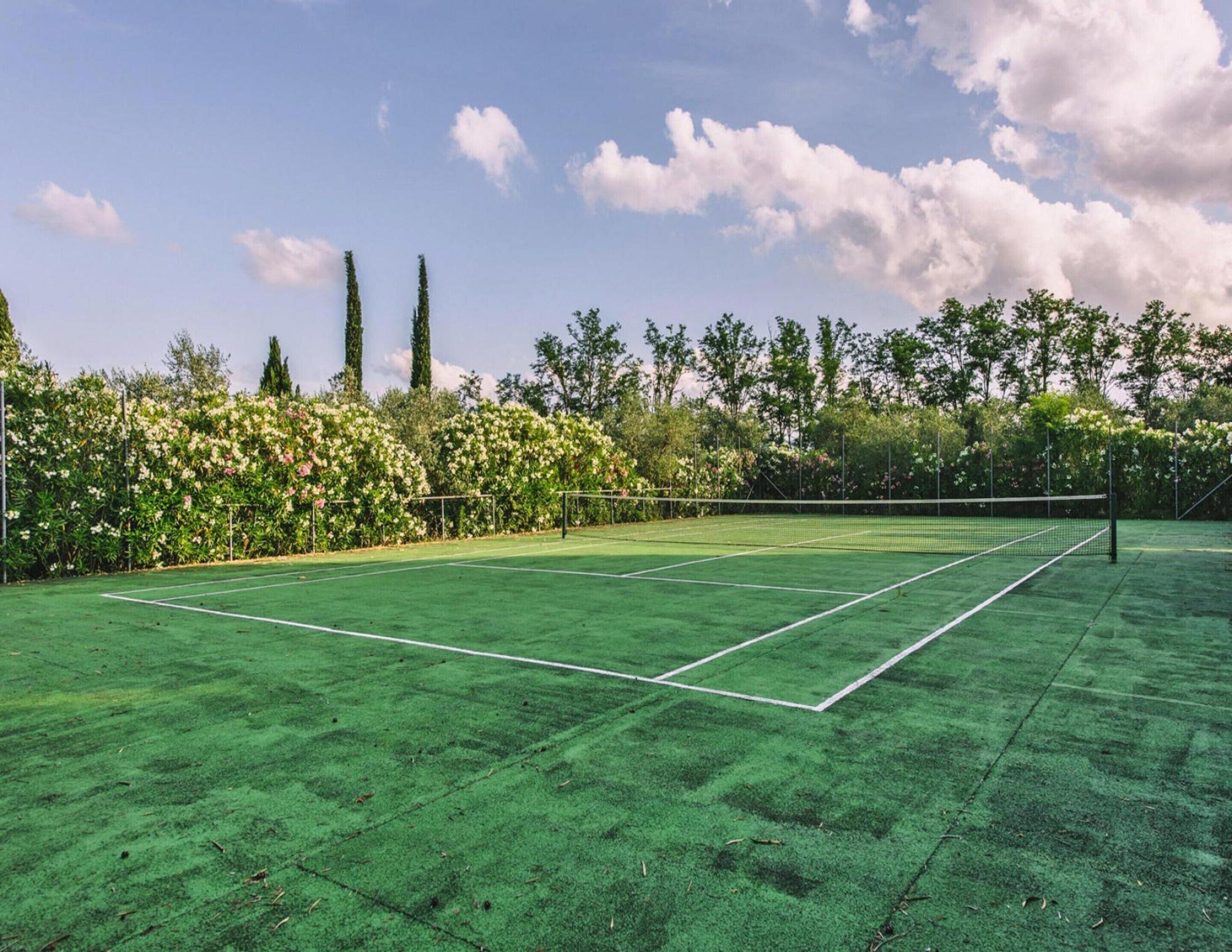 A tennis court with a net, surrounded by trees and a clear sky.