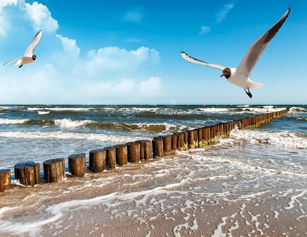 House | View from property