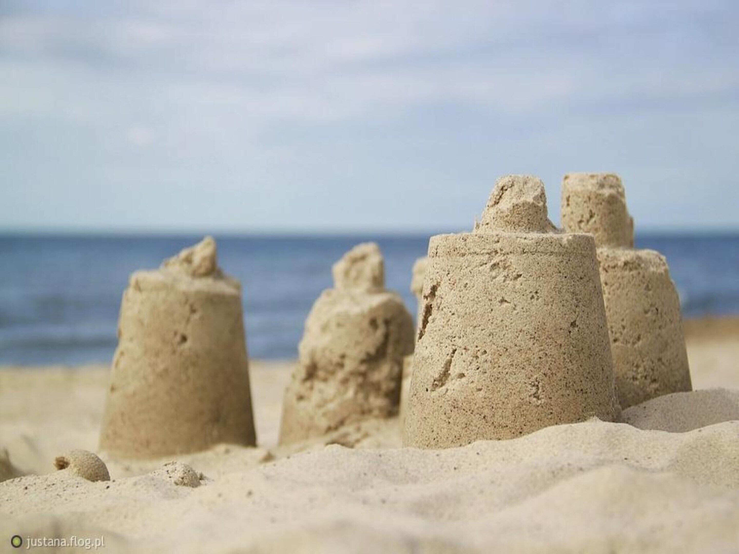 Castillos de arena en una playa con el océano al fondo.