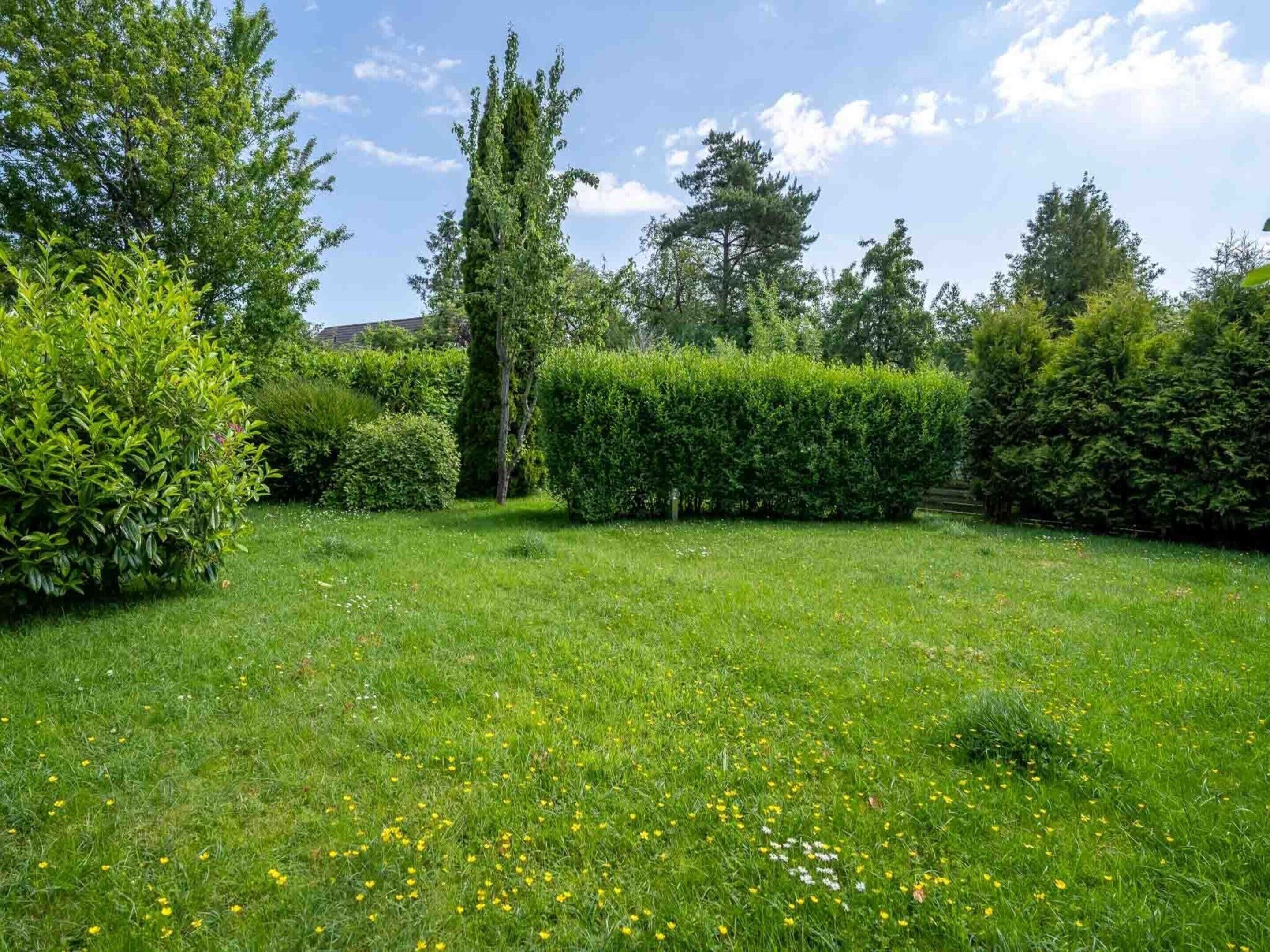 A well-maintained garden with various types of greenery, including hedges and trees, under a clear sky.