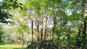 House | Exterior - Holiday Home Dei Pavoni, Montemaggiore With Private Pool (Colli al Metauro)