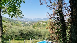 House | Pool - Holiday Home Dei Pavoni, Montemaggiore With Private Pool (Colli al Metauro)