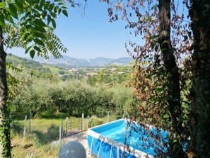 House | Pool - Holiday Home Dei Pavoni, Montemaggiore With Private Pool (Colli al Metauro)