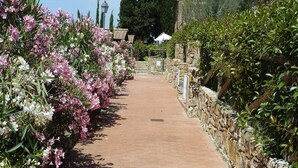 A paved pathway flanked by flowering shrubs and a stone wall. - Apartment in Campiglia Marittima (Campiglia Marittima)