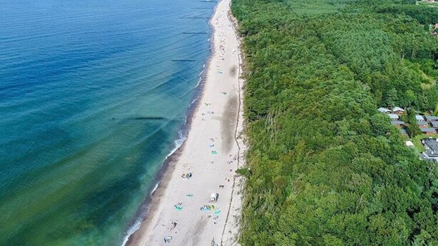 An aerial view of a beach with a dense forest on one side and a clear blue sea on the other. - Apartment in a Family Holiday Resort (Postomino)