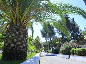 House | Exterior - Apartment in Baia Domzia Near the sea (Sessa Aurunca)