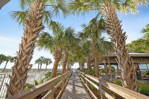 A pathway lined with palm trees and a wooden railing, leading towards a building with a covered area.