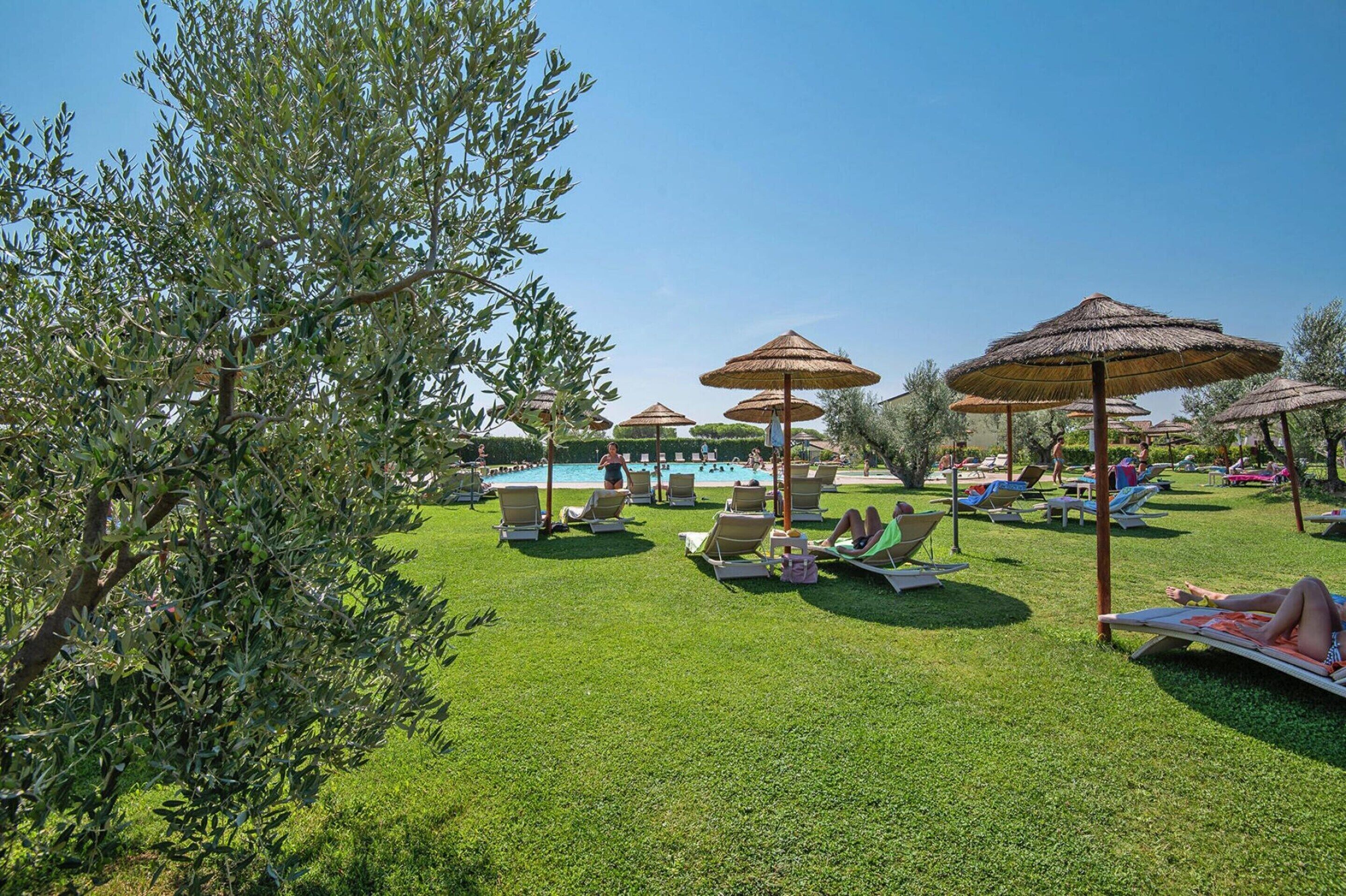 A poolside area with lounge chairs and umbrellas, surrounded by greenery.