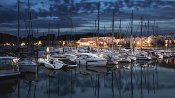 Casa rodante | Vista desde la propiedad