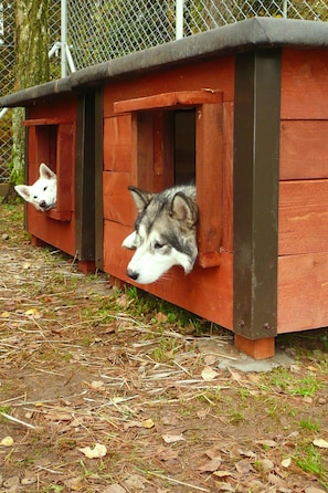 Appartement | Extérieur