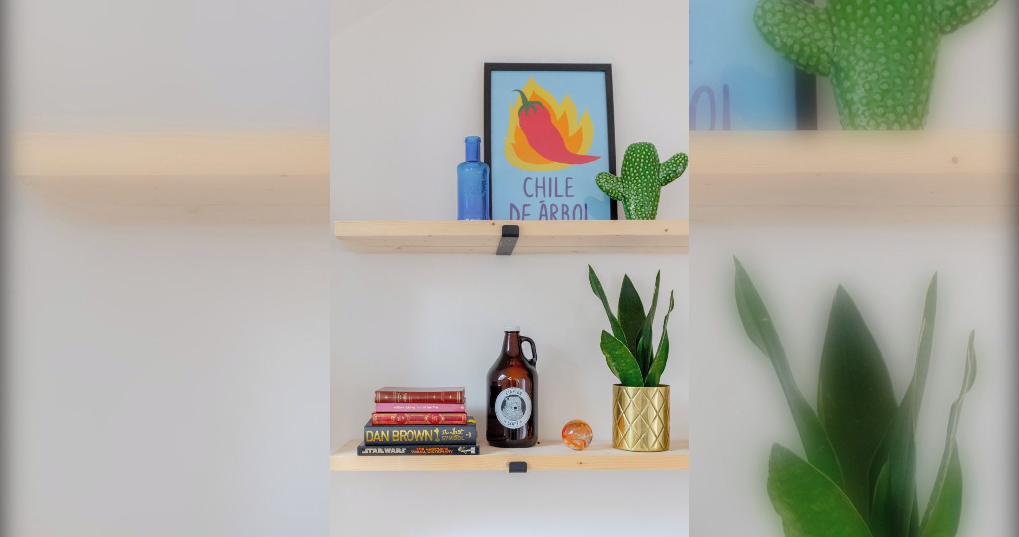 Dos estantes de madera con varios objetos, entre ellos libros, una botella y un cactus.